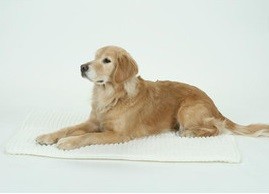 床ずれ防止介護マット　ホームナース