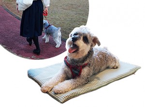 【Sサイズ】おでかけドッグカフェマット