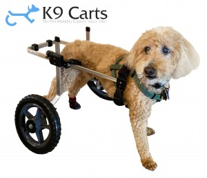 既製品(XS~L)犬用車椅子